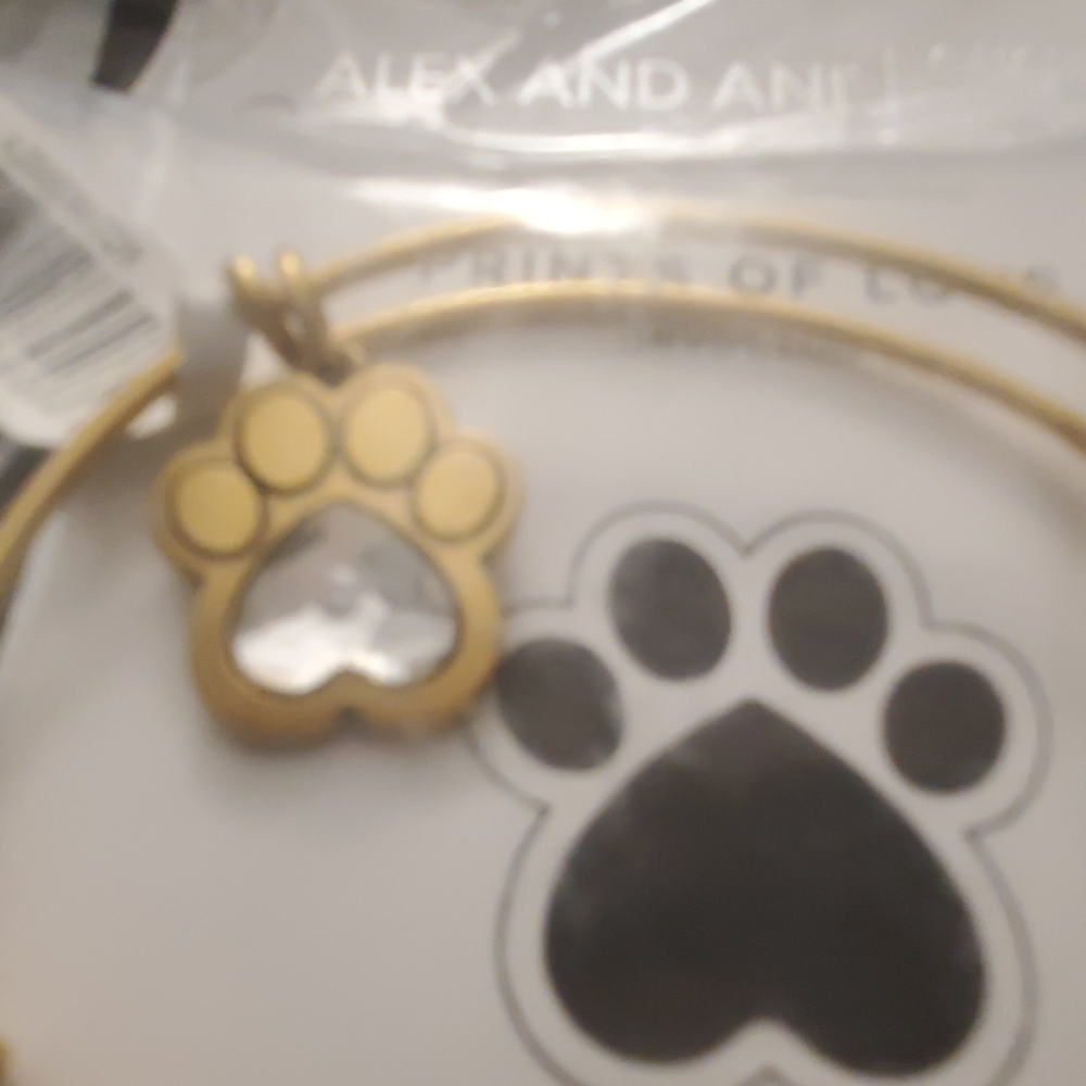 Alex and Ani Prints of Love bracelet